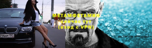 прущие грибы Балабаново
