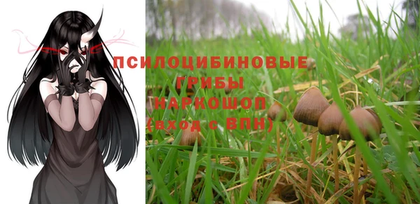 прущие грибы Балабаново