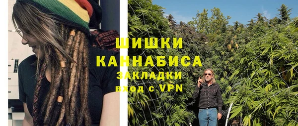 прущие грибы Балабаново